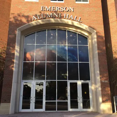 Perforated one-way window graphic applied to storefront glass (example 3)