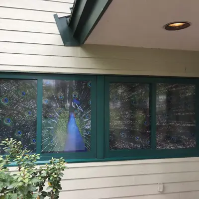 Perforated one-way window graphic applied to storefront glass (example 6)